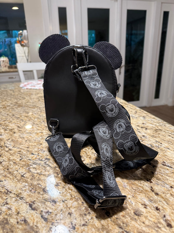 Disney Mickey Ear Lougefly - used one time