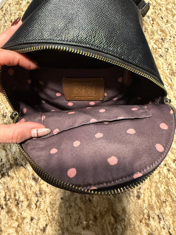 Disney Coach Backpack - Rarely Used
